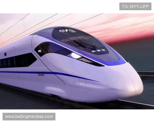 南京飞盘队实力对比深度解析与未来发展趋势探讨