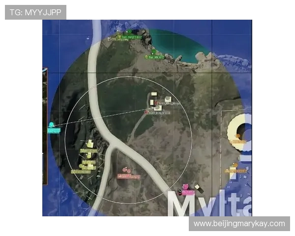 LinShu绝地求生精彩瞬间回顾 探索高阶技巧与策略的完美结合